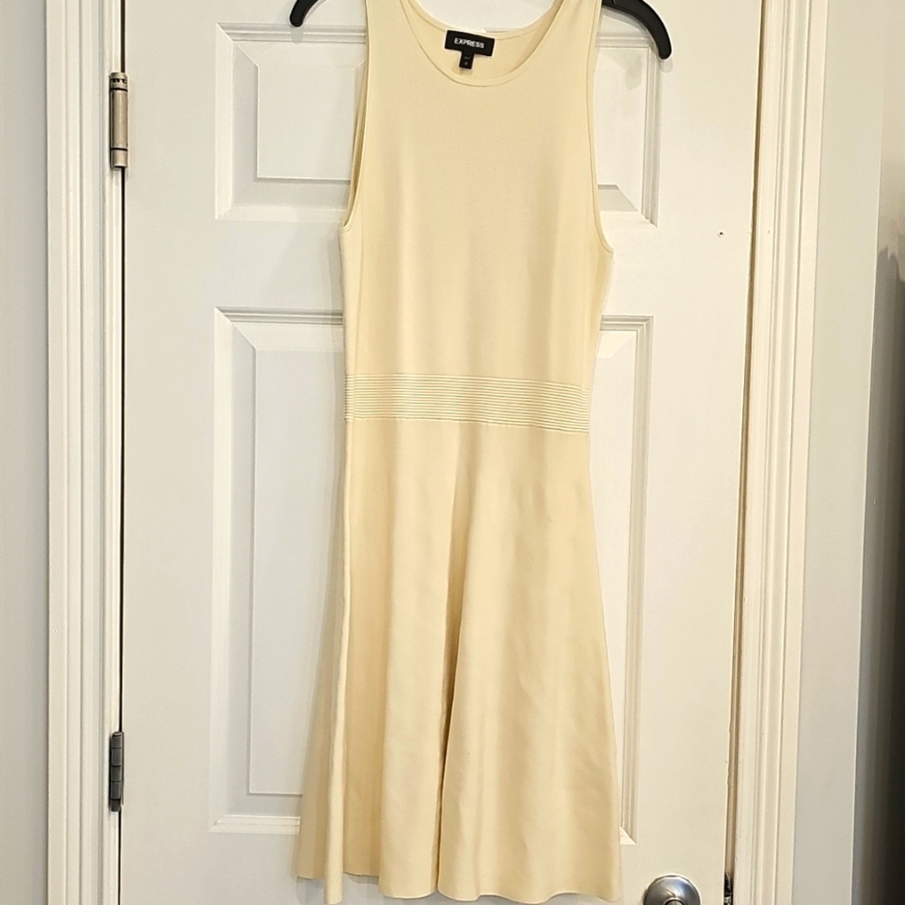 Express dress Medium (size 8-10)
